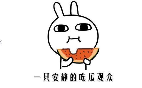 坐等吃瓜是什么意思,揭秘网络热议背后的围观心理